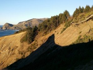 Shadow of Potato Bug Point upon Agate Cove slope