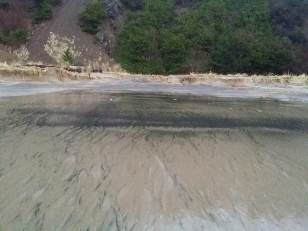Eroded beach showing organic debris line
