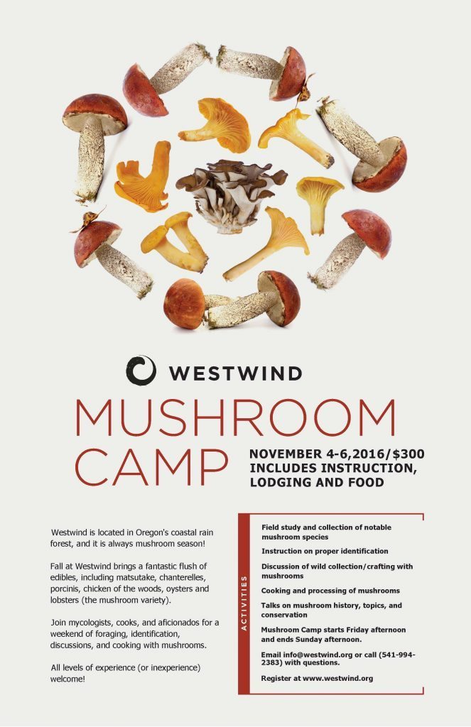 Westwind Mushroom camp poster_2016