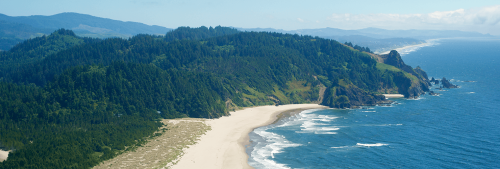 Aerial view of beach and stunning Oregon coastline