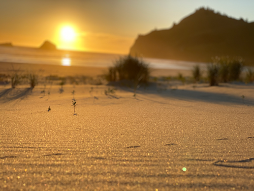 A sunset view of the beach along the Oregon coast