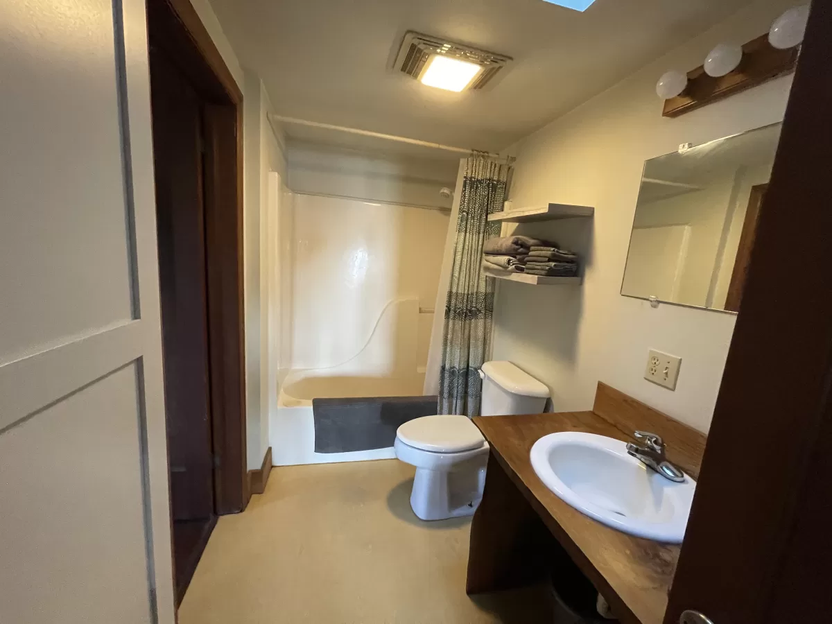 Bathroom with sink, toilet, and step in shower.