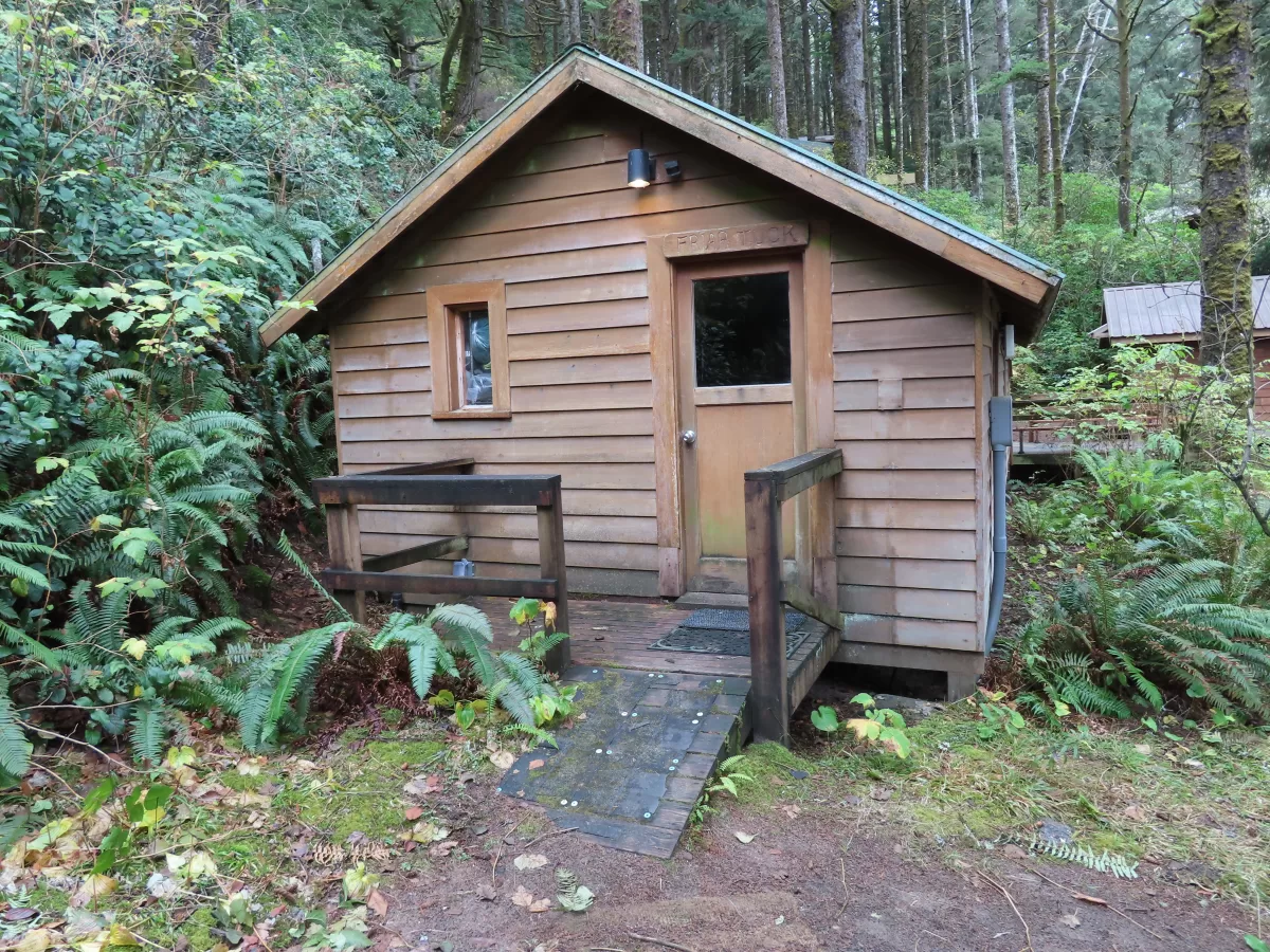 Building with one door and one window in a forest.