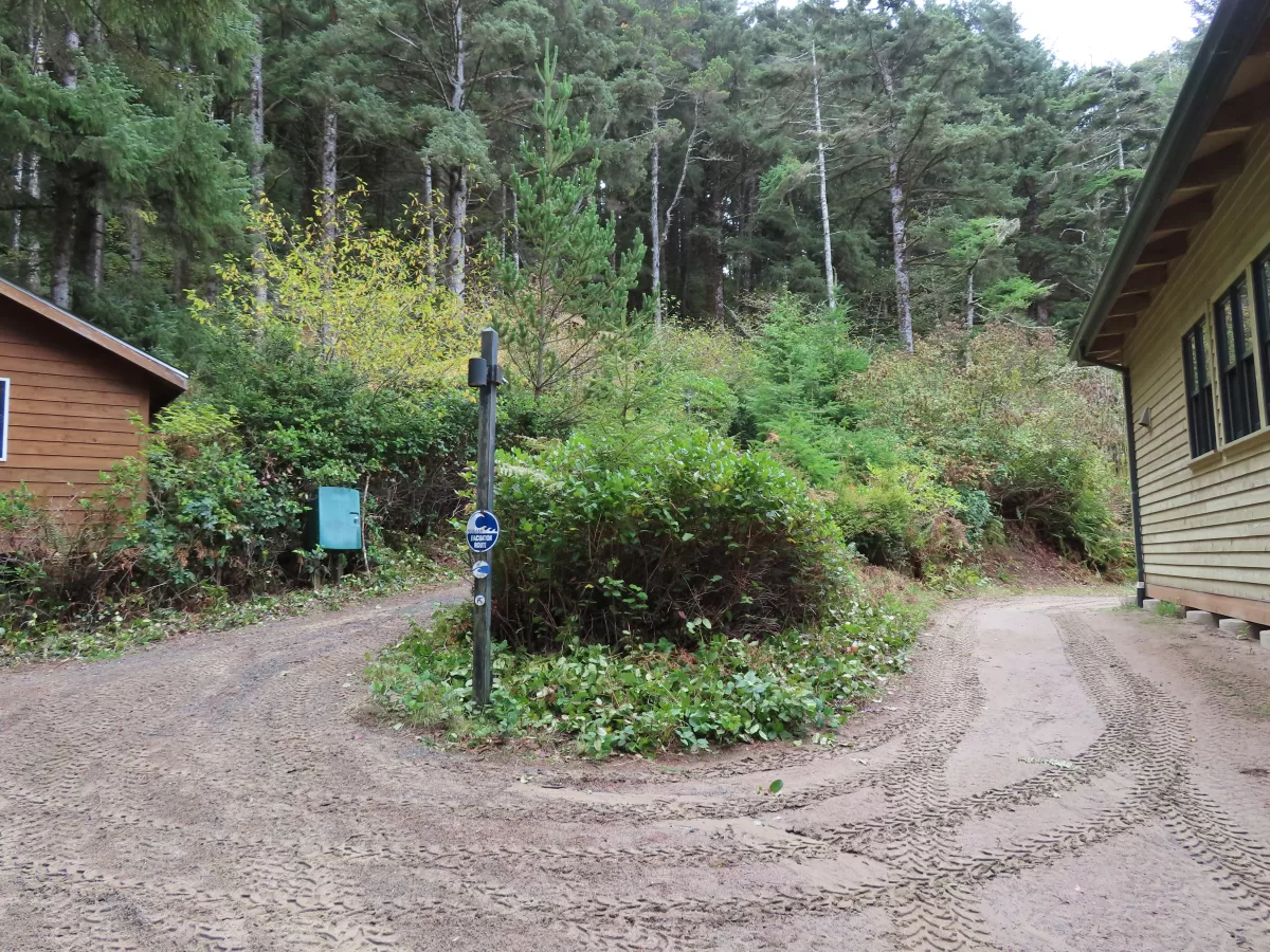 Sand path leading past McIver Lodge