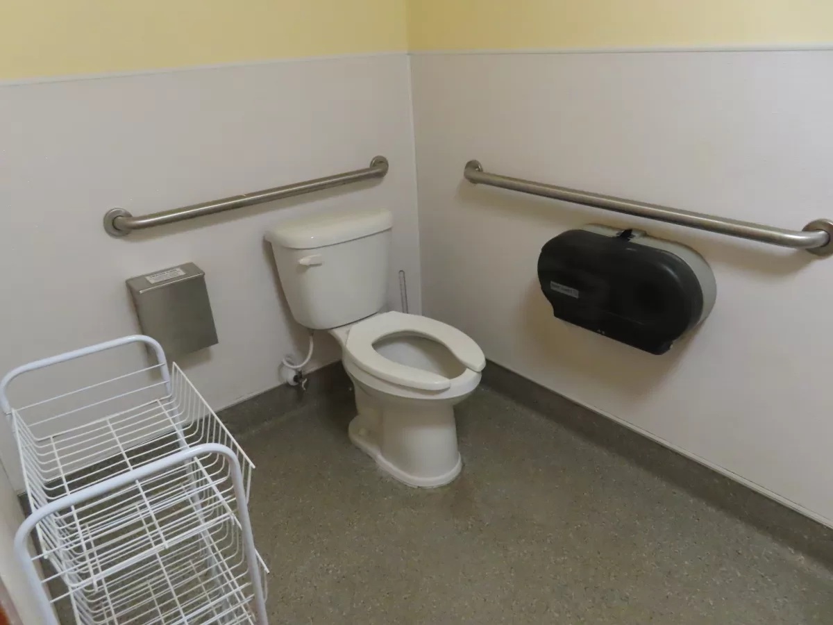 Toilet with accessibility bars on wall