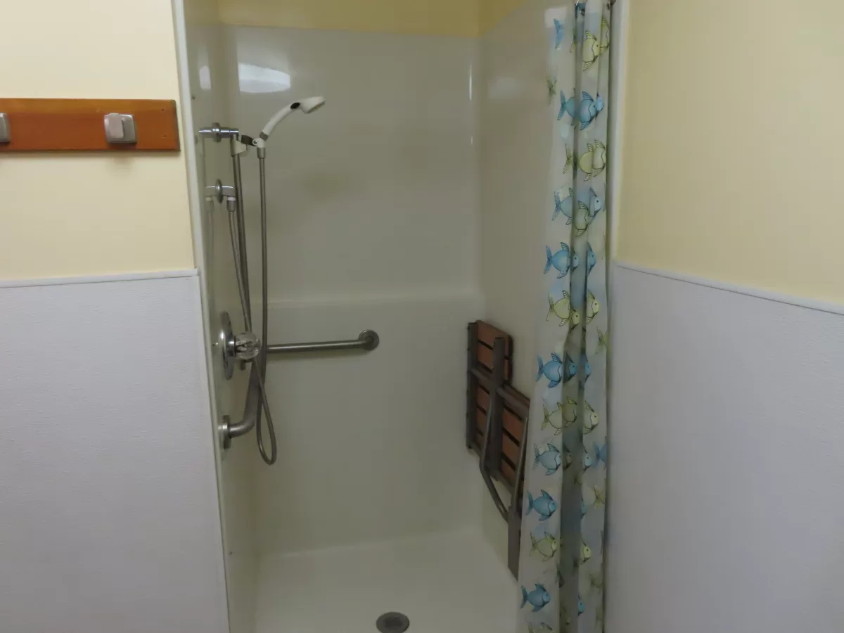 Walk in shower with seat