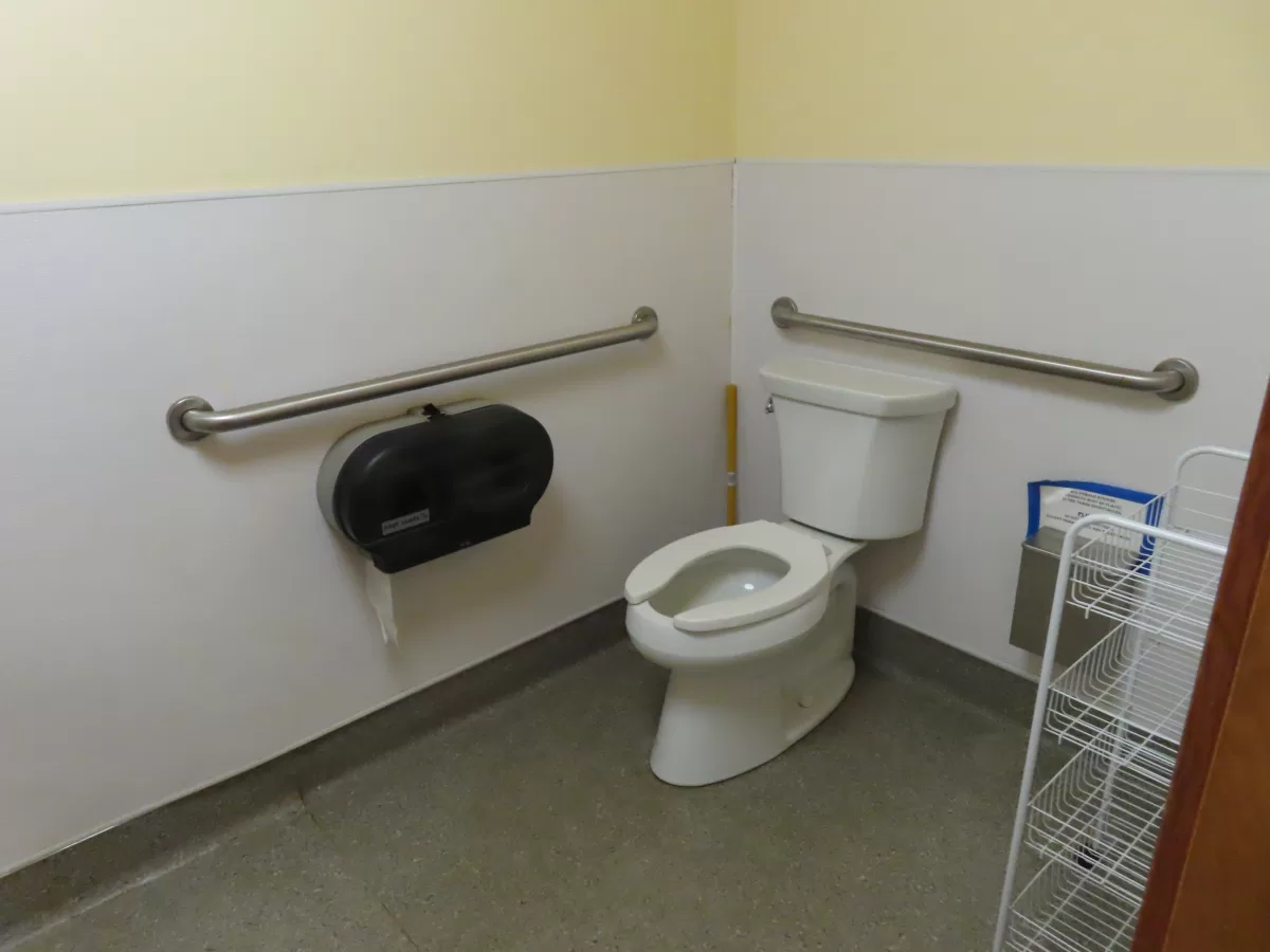 Toilet with accessibility bars on walls