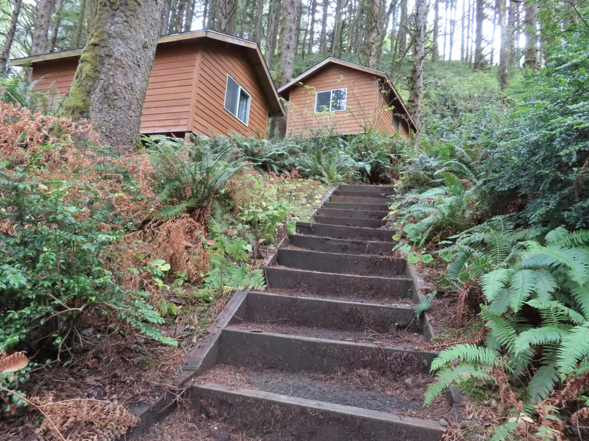 wooden steps leading to two cabins