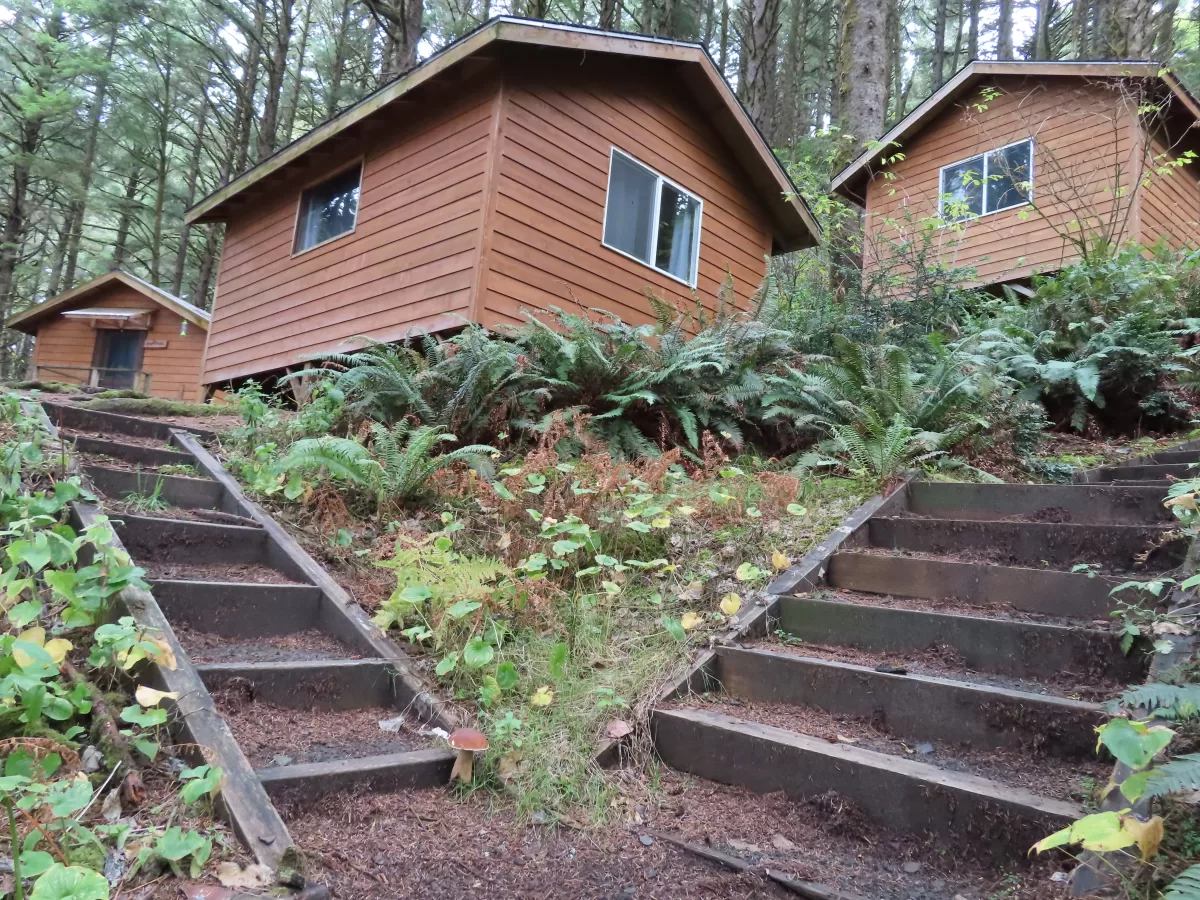 Wooden stairs leading to three cabins