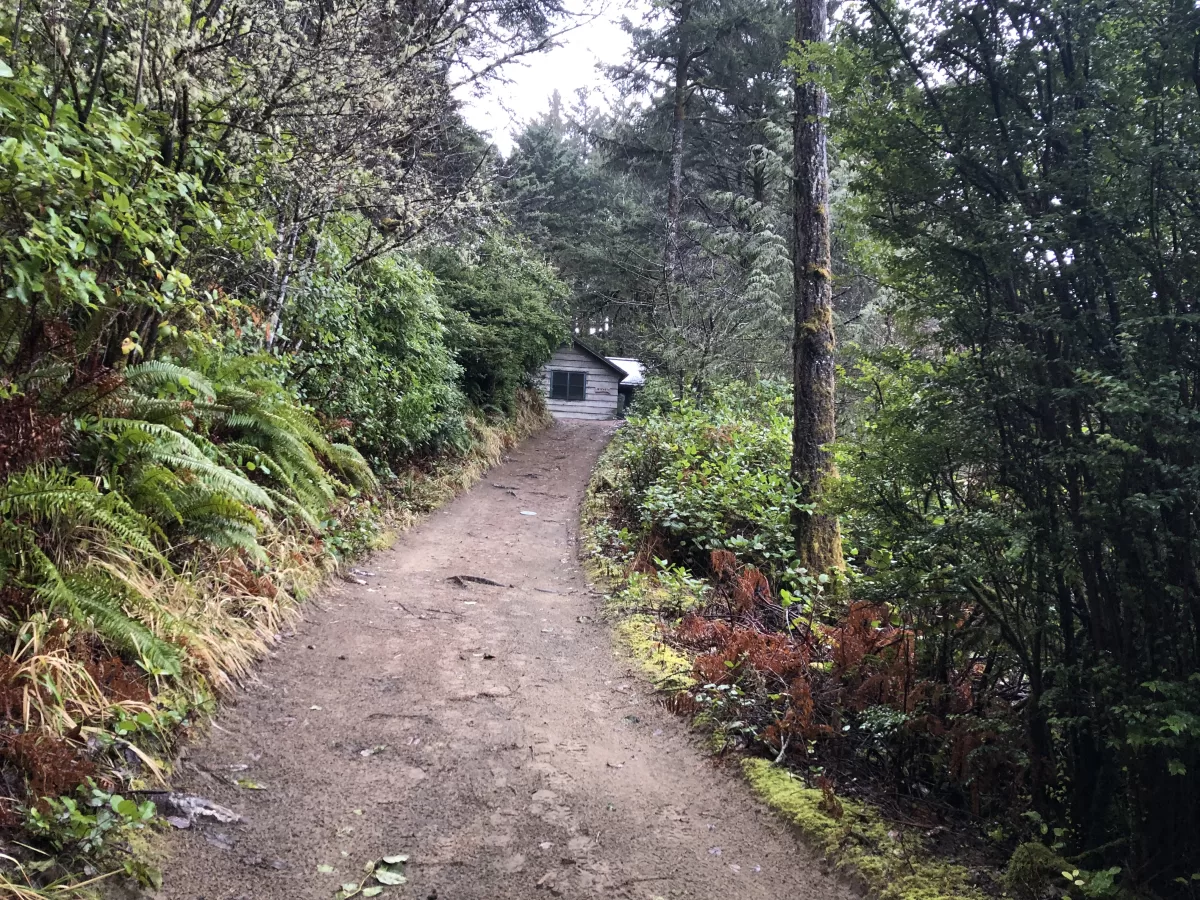 Dirt path up to Wyeast cabin