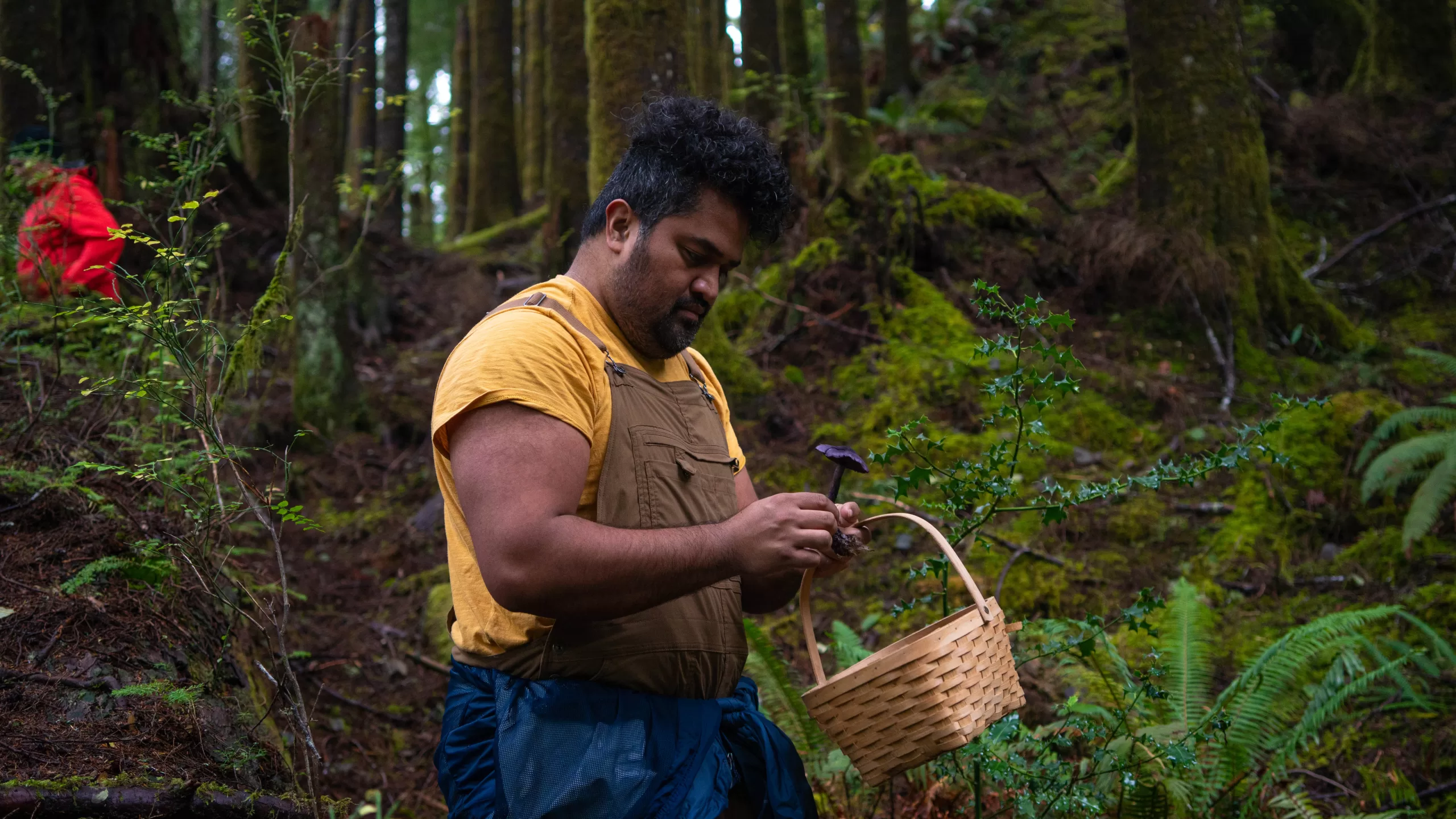 man examines mushroom in the woods