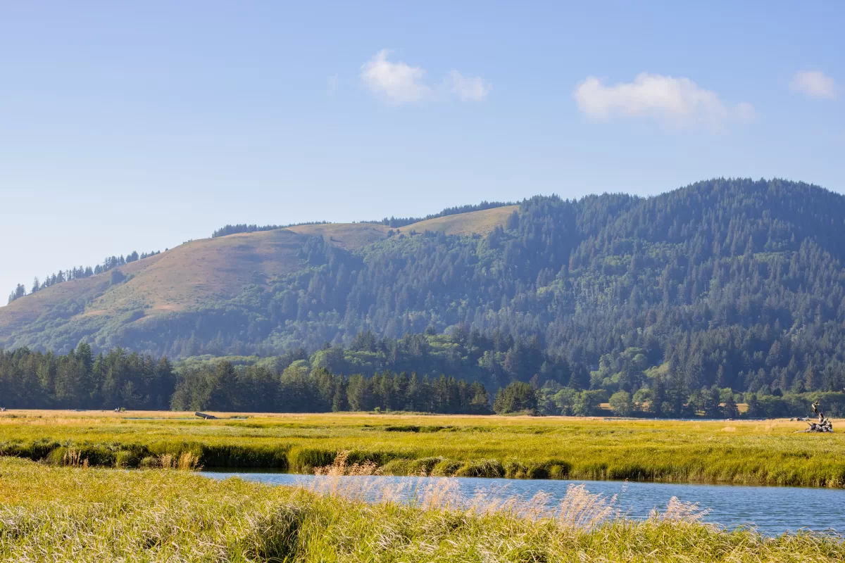 low lying marshlands in the foreground, cascade head rise in the background