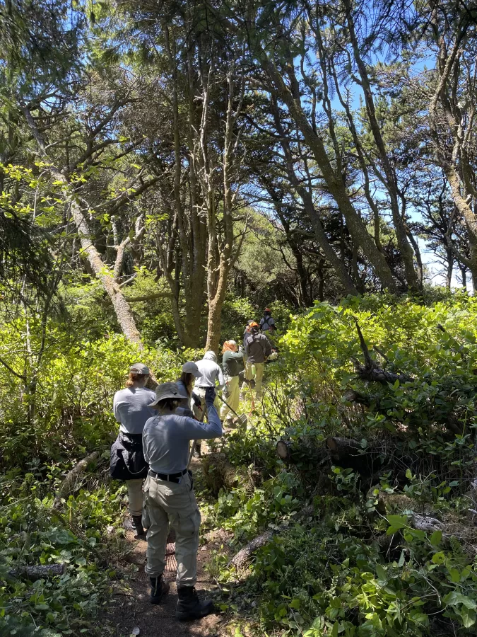 a group of workers use tools to clear a trail.