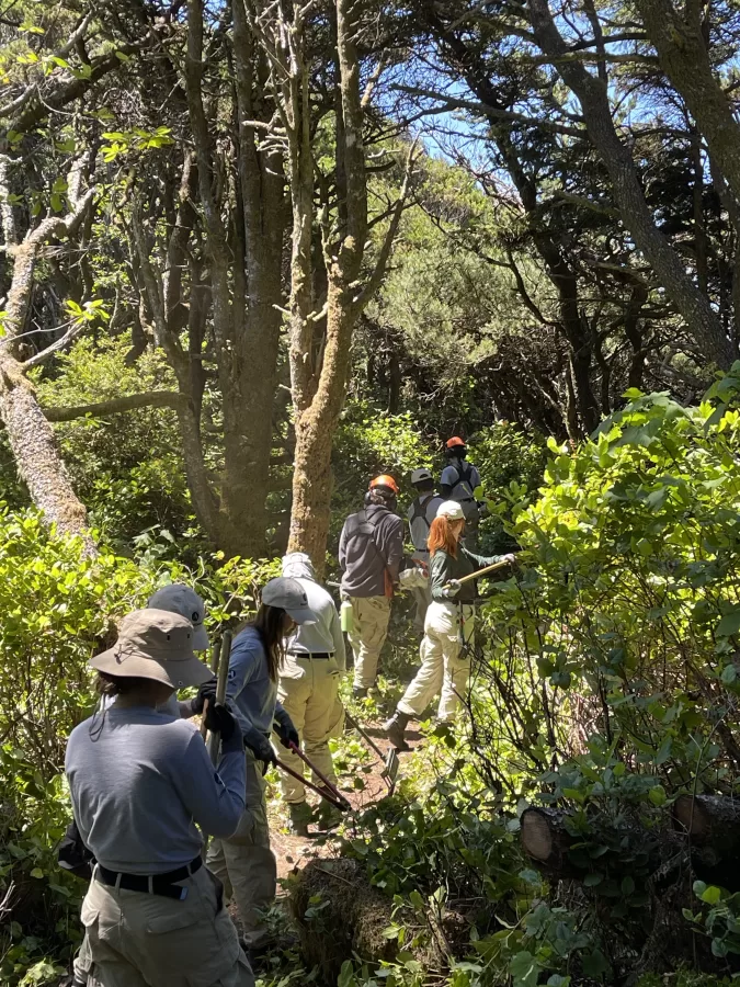 a group of workers use tools to clear a trail.