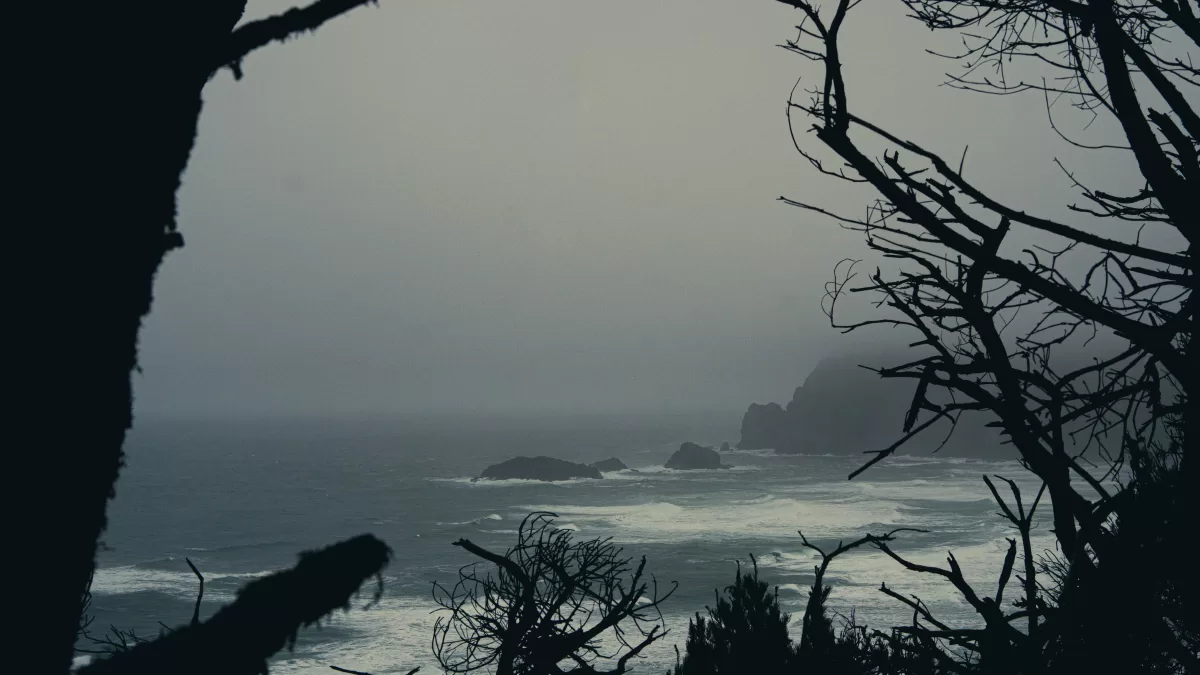 looking out at the stormy ocean through the trees. 